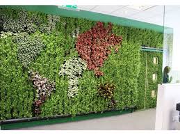 Living Plant Walls Winya