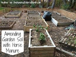 amending garden soil with horse manure