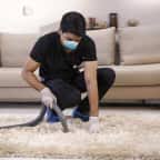 top carpet cleaning services in mumbai