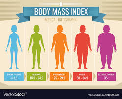 Woman Body Mass Index Medical Infographic