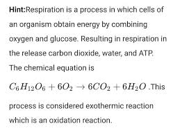 Hint Respiration Is A Process In Which