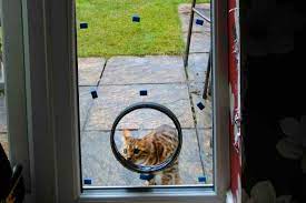 Cat Flaps Installers Devon Exeter