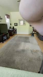 carpet cleaning lincoln carpet