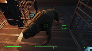 His master, a scavenger, was killed by a band of raiders in the scrapyard where the dog is to be found. Fallout 4 Far Harbor How To Get 3 New Settlement Guard Dogs Gameranx