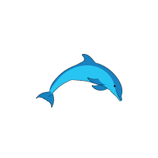 free vector dolphin png freepng