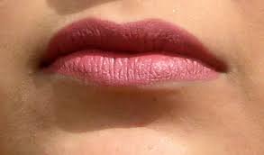 10 best mac lipsticks for indian brown