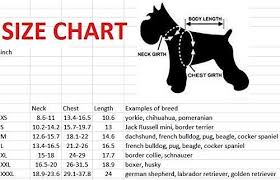 Miniature Schnauzer Weight Chart Goldenacresdogs Com