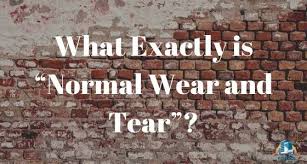 what is normal wear and tear young
