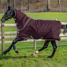 redpost s guide to horseware rugs