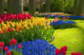 Shop online flowers at send flowers! List Of Spring Flowers Gardenerdy