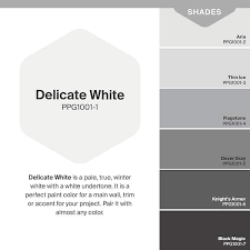 Delicate White Eggs Interior Paint