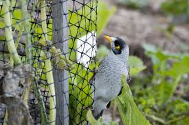 Bird Netting Bird Barrier