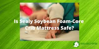 sealy soybean crib mattress safe or