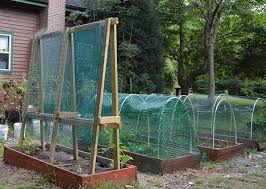 garden trellis netting professional