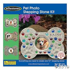 Mosaic Stepping Stone Kit Pet Photo 1