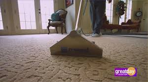 get your carpets cleaned with zerorez