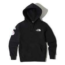 The North Face Korea Expedition Hoodies Black Nm5pk00a