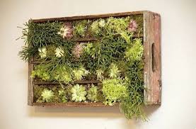Cool Diy Green Living Wall Projects For