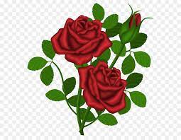 Rosa Rossa Clip art - Rose rosse PNG Immagine Clipart scaricare png -  Disegno png trasparente Impianto png scaricare.