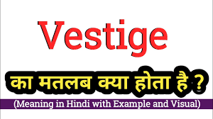 vestige meaning in hindi vestige क