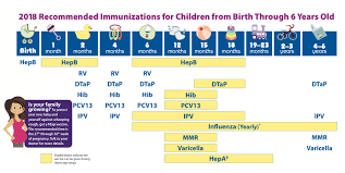 Immunization Schedule Texas Examples And Forms