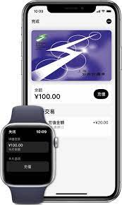 Express card is not a type of felica. Use Express Transit With Apple Pay In China Mainland Apple Support