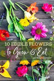 Best Edible Flowers To Grow In Your Garden