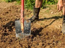 Amending Clay Soil Improving Clay Soil