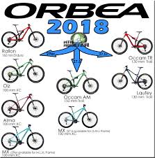 Orbea Bikes 2018 Buyers Guide