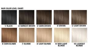 If you dye your hair at home and the color from the box comes out too dark, we are sharing a few tips to lighten it before you visit the salon. Amazon Com Manic Panic Flash Lightning Hair Bleach Kit 30 Vol Chemical Hair Dyes Beauty