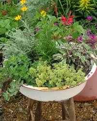 Use Herbs In Flower And Garden Beds