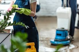 cleaning services in lexington and
