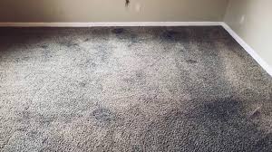 bart s cleaning carpet cleaning