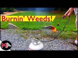 Burning Weeds With A Propane Torch