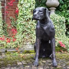 Bronze Labrador Dog