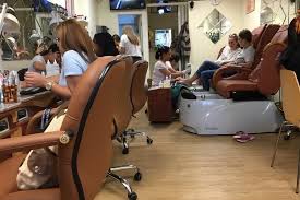 cambridge s top 5 nail salons to visit now