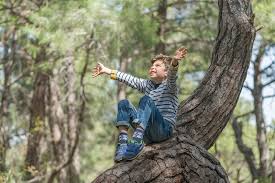 climbing trees a great part of being a