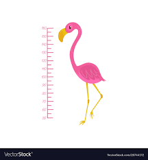 Kids Height Chart And Flamingo Exotic Bird With