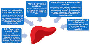 nonalcoholic fatty liver disease