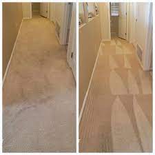 carpet cleaning rio rancho budget