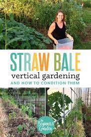 grow vertically in a straw bale garden