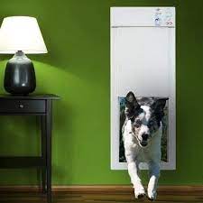 6 best electronic dog doors may 2022