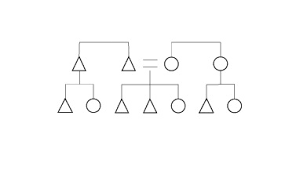 How To Draw Kinship Diagrams The Human Family