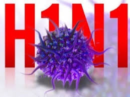 Resultado de imagem para influenza A H1N1