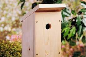 Build A One Board Diy Birdhouse