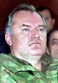 Ratko Mladić's long-awaited trial adjourned on second sitting day