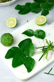 what are kaffir lime leaves how to