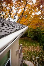 Which Gutter Material Is Best For My