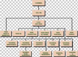Organizational Chart Business Diagram Png Clipart Area