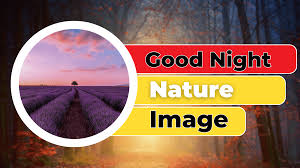 sweet dreams nature good night images
